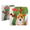 Christmas Charity Card Pack "Dog Antlers" Pack of 10