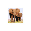 Two Elephants Amazing 3D Effect Holographic Open And Blank Card