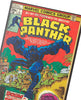 Vintage Comic Book Panther Blank Inside Birthday Card