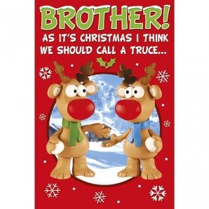 Brother at Christmas (Humour) Christmas Card By Wishing Well