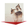 "Deer" Photographic Open Christmas Greeting Card