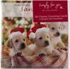 Hallmark Mini Photographic Charity Christmas Cards, In 2 Designs, Pack of 30