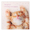 Daughter Birthdays Are Special Sleeping Kitten Birthday Card