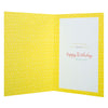 Definition of What is a Brother Theme Brother Birthday Card