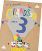 3rd Birthday Card for Grandson