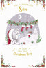 Bear with Stockings Wonderful Son 1st Christmas Card