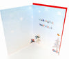 Special Little Boy Merry Christmas Greeting Card