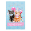 Exams Congratulation Cat Greeting Card "You Passed"