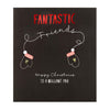 Fantastic Friends Christmas Card 'Brilliant Pair'