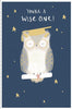 You're A Wise One Owl Design Graduation Congratulations Card