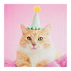 Blank Card "Birthday Cat"