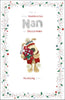 For a Wonderful Nan Boofle with Gift Christmas Card