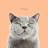 Cute Smiling Cat Blank Birthday Card