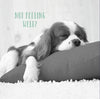 Sleeping Dog Photographic Get Well Soon Card