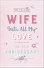 Wife Pink Foil Anniversary How Much I Love Greeting Card