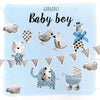 Luxury Congratulations on Your New Baby Boy Card