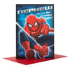 Spiderman Nephew Birthday Card Hero