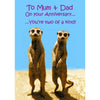 Meerkats Mum and Dad Anniversary Card