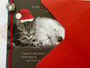 My Girlfriend Cute Kitten And Puppy Christmas Card