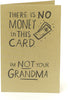 Funny Humorous Birthday Card No Money