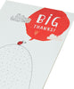 Big Thanks! Ladybird Thank You Card Blank for your own Message