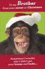 To My Brother From Your Sister Funny Monkey Design Christmas Card