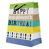 Hallmark Umpteenth Birthday Gift Bag Large